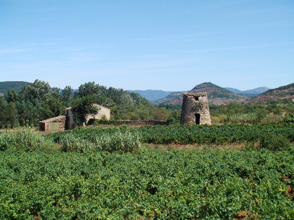 Languedoc