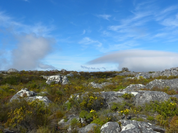 Table Mountain