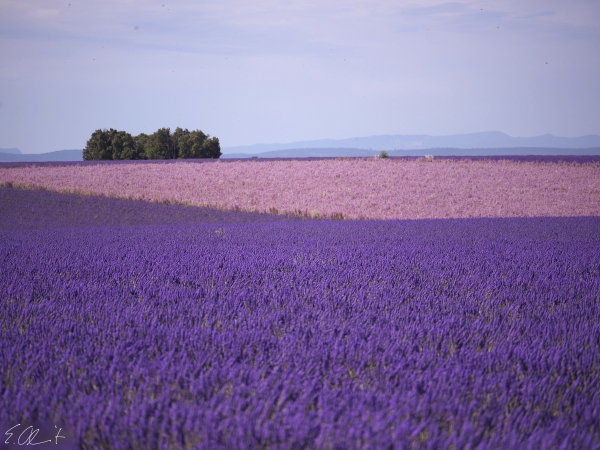 Plateau de Valensol