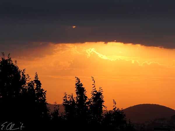 Abendstimmung im Garten