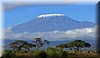 Kilimanjaro3.jpg