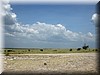 Serengeti.JPG