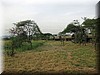 Serengeti2.jpg