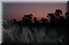 Tarangire.JPG
